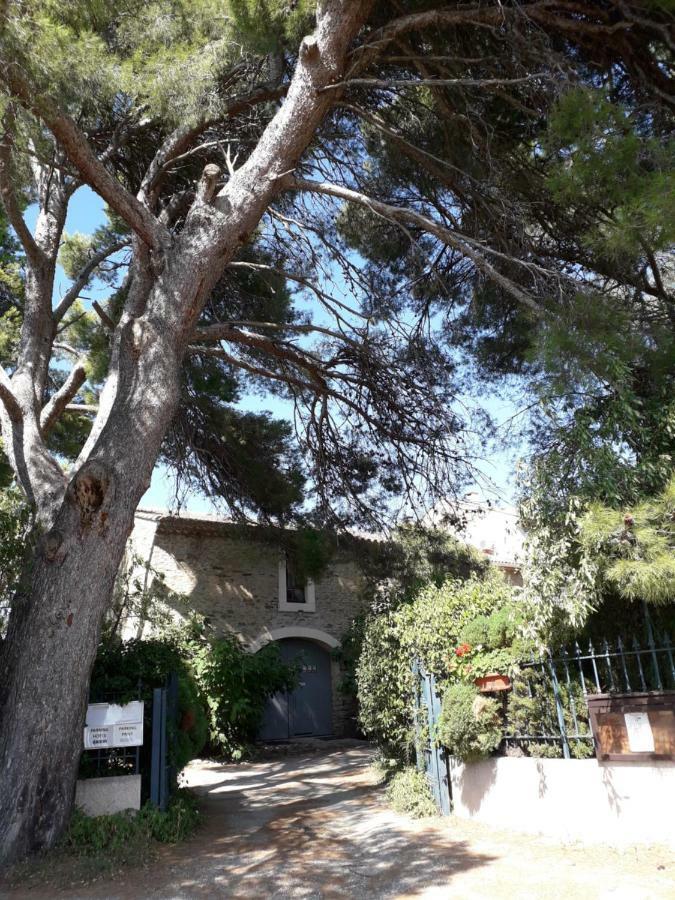 Domaine De La Pinsonniere Vila La Liviniere Exterior foto